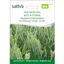 Getreide Winterweizen - Triticum aestivum - BIOSAMEN