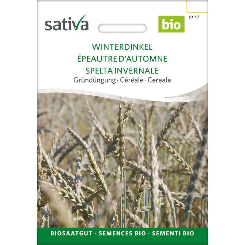 Getreide Winterdinkel - Triticum spelta - BIOSAMEN