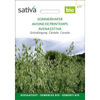 Getreide Sommerhafer  - Avena Sativa - BIOSAMEN