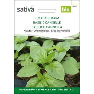 Basilikum, Zimtbasilikum - Ocimum basilicum   - BIOSAMEN