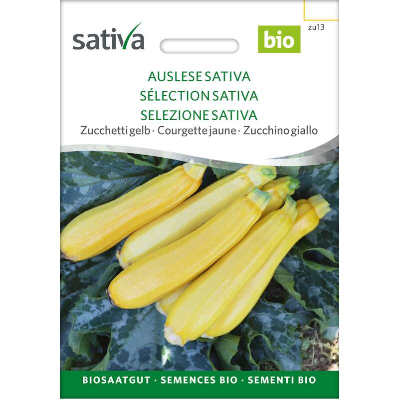 Zucchetti, Zucchini, gelb Auslese Sativa - Cucurbita pepo  - BIOSAMEN