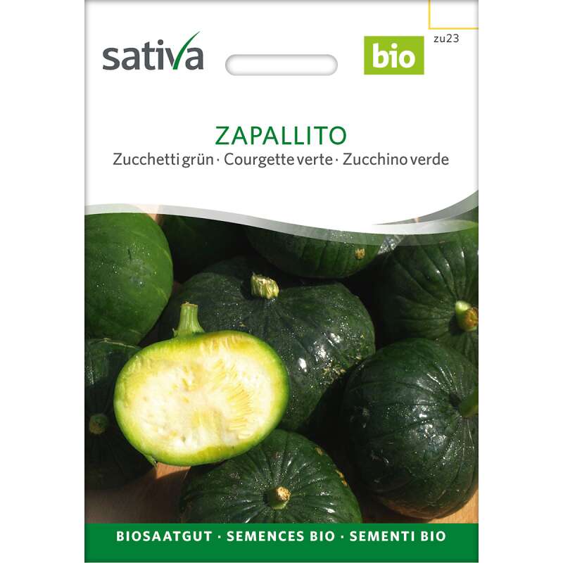 Zucchetti, Zucchini, grün Zapallito - Cucurbita maxima  - BIOSAMEN