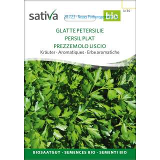 Petersilie, glatte - Petroselinum crispum  - BIOSAMEN