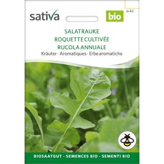 Rucola, Salatrauke - Eruca sativa - BIOSAMEN