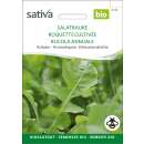 Rucola, Salatrauke - Eruca sativa - BIOSAMEN