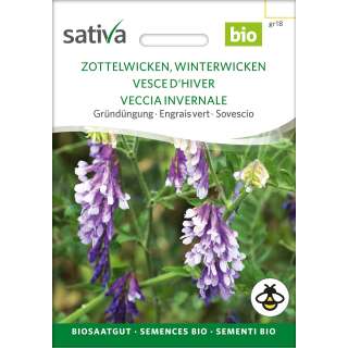 Gründüngung Zottelwicken, Winterwicken - Vicia villosa - BIOSAMEN