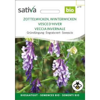 Gründüngung Zottelwicken, Winterwicken - Vicia...