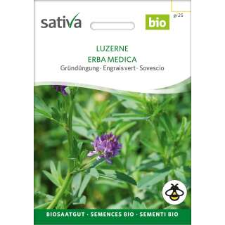 Gründüngung LUZERNE  - Medicago sativa  - BIOSAMEN