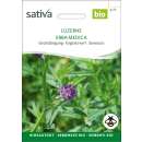 Gründüngung LUZERNE  - Medicago sativa  - BIOSAMEN