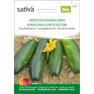 Zucchetti Verte de Maraicher - Cucurbita pepo- BIOSAMEN