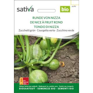 Zucchetti, Zucchini Runde von Nizza - Cucurbita pepo  -...