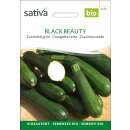 Zucchetti, Zucchini, grün Black Beauty - Cucurbita pepo  - BIOSAMEN