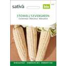 Zuckermais Stowells Evergreen - Zea mays  - BIOSAMEN