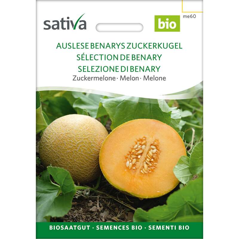 Zuckermelone Auslese (Benarys Zuckerkugel) - Cucumis melo  - BIOSAMEN