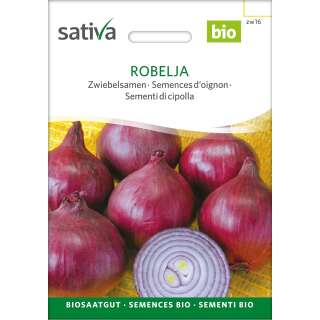 Zwiebel Robelja - Allium cepa - BIOSAMEN