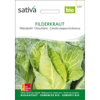 Weisskraut Filderkraut - Brassica oleracea capitata- BIOSAMEN