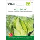 Weisskraut Filderkraut - Brassica oleracea capitata-...