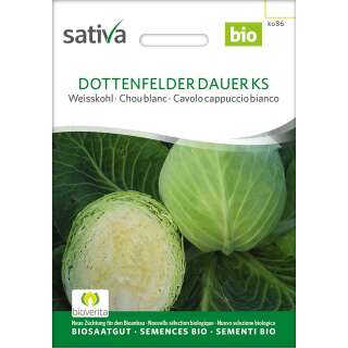 Weisskraut Dottenfelder Dauer - Brassica oleracea capitata  - BIOSAMEN