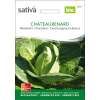 Weisskraut Chateaurenard - Brassica oleracea capitata- BIOSAMEN