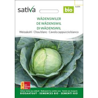 Weisskraut Wädenswiler - Brassica oleracea capitata- BIOSAMEN