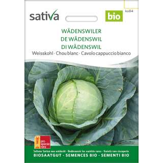 Weisskraut Wädenswiler - Brassica oleracea capitata-...