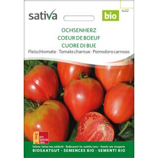Tomate Ochsenherz / Cuor di bue / Coeur de Boeuf -...