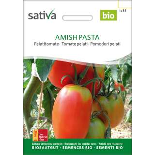 Tomate Amish Pasta - Lycopersicon esculentum- BIOSAMEN