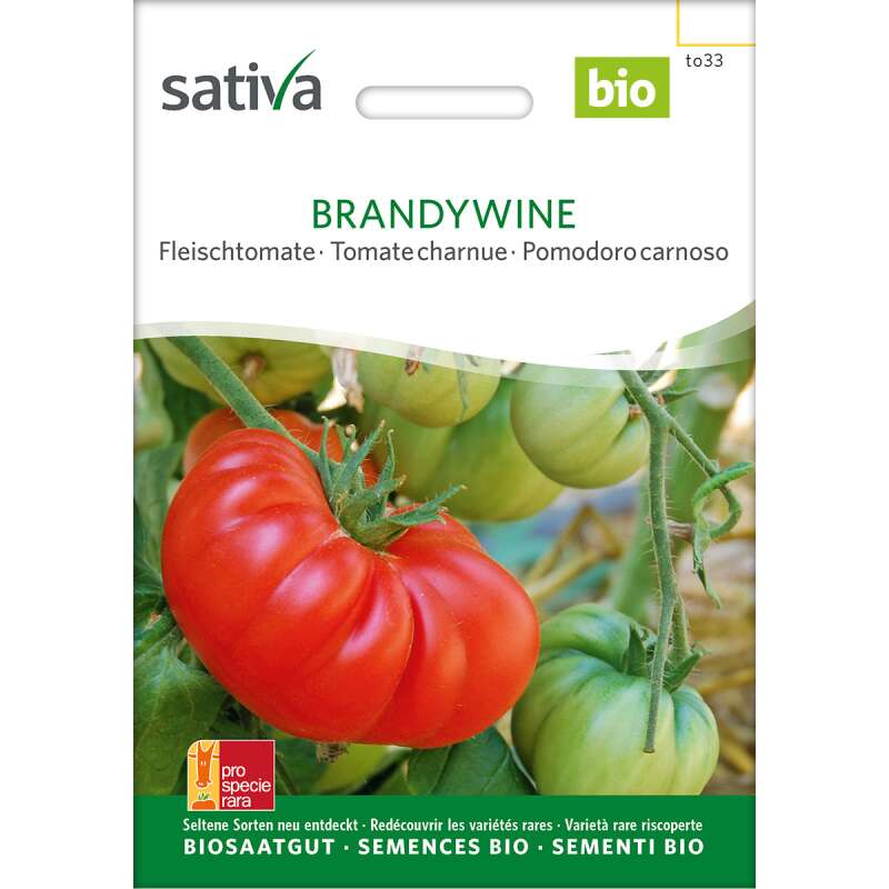 Tomate Red Brandywine - Lycopersicon esculentum- BIOSAMEN