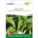 Stielmangold Brilliant - Beta vulgaris var. flavescens -...