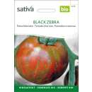 Tomate Black Zebra - Lycopersicon esculentum  - BIOSAMEN