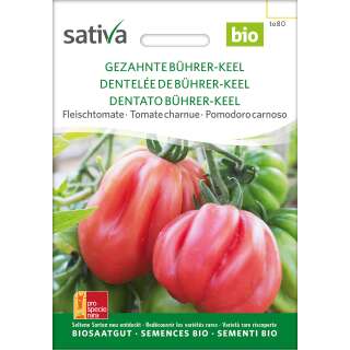 Tomate Gezahnte Bührer-Keel - Lycopersicon esculentum- BIOSAMEN