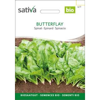Spinat Butterfly - Spinacia oleracea  - BIOSAMEN