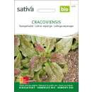 Spargelsalat Cracoviensis - Lactuca sativa- BIOSAMEN