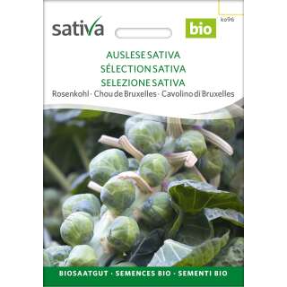 Rosenkohl Auslese - Brassica ol. ol. gemmifera  - BIOSAMEN