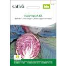 Rotkabis, Rotkohl Rodynda - Brassica oleracea capitata  - BIOSAMEN