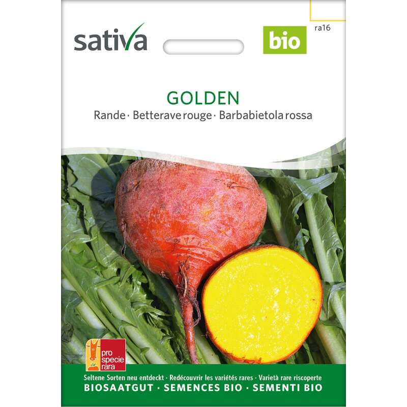 Rande, Gelbe Bete Golden - Beta vulgaris- BIOSAMEN