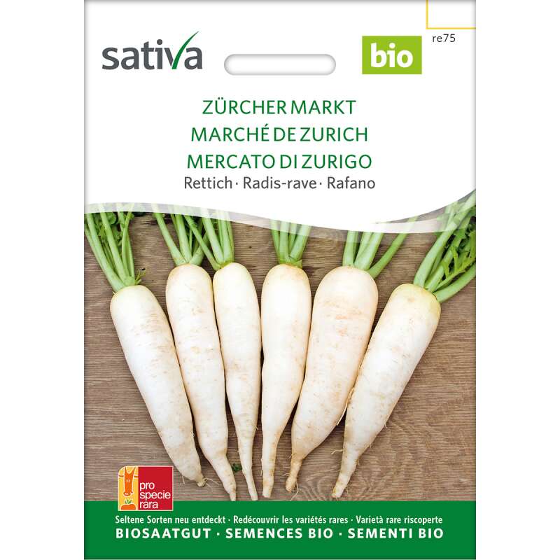 Rettich Zürcher Markt - Raphanus sativus- BIOSAMEN