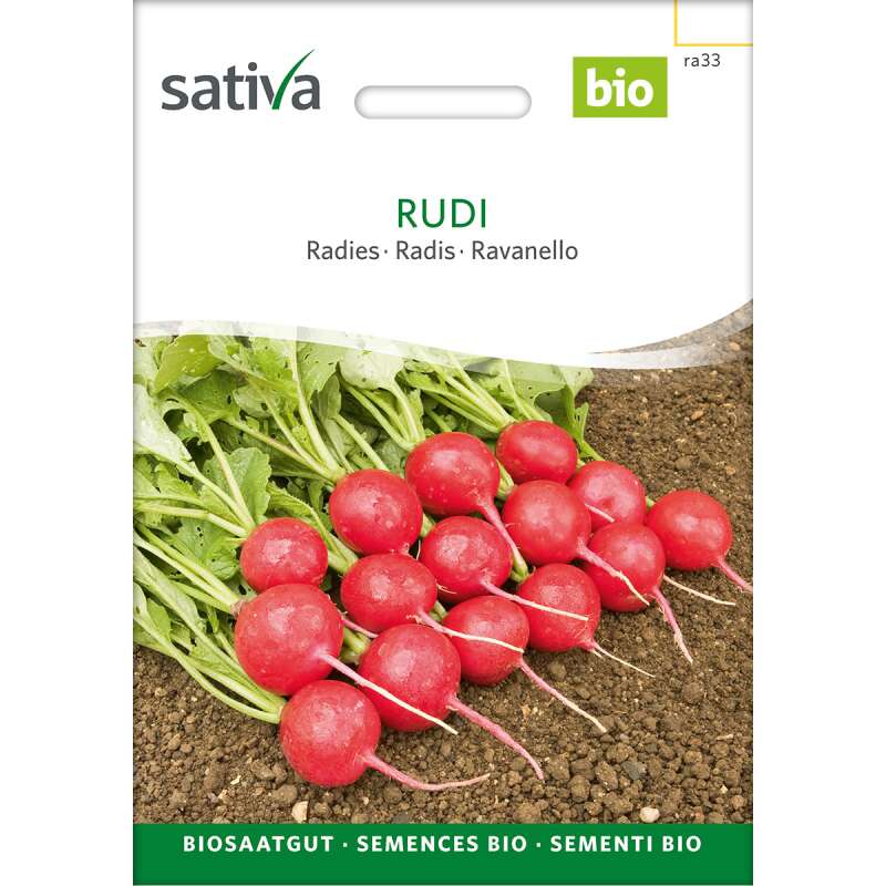 Radies Rudi - Raphanus sativus  - BIOSAMEN