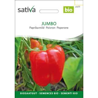 Paprika, mild Jumbo - Capsicum annuum - BIOSAMEN