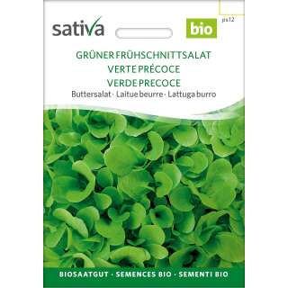 Pflücksalat Frühschnittsalat, grüner - Lactuca sativa  - BIOSAMEN