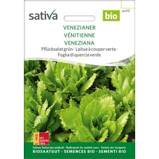 Pflücksalat Venezianer - Lactuca sativa- BIOSAMEN