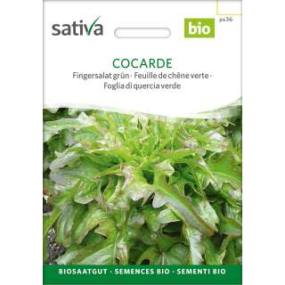 Fingersalat, grün Cocarde - Lactuca sativa - BIOSAMEN