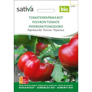 Paprika Tomatenpaprika rot - Capsicum annuum- BIOSAMEN