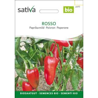 Paprika, mild Rosso - Capsicum annuum  - BIOSAMEN