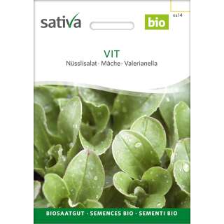 Nüsslisalat, Feldsalat Vit - Valerianella locusta  - BIOSAMEN