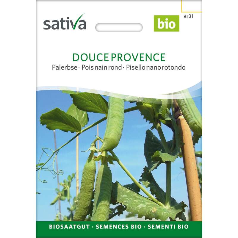 Palerbse Douce de Provence - Pisum sativum  - BIOSAMEN