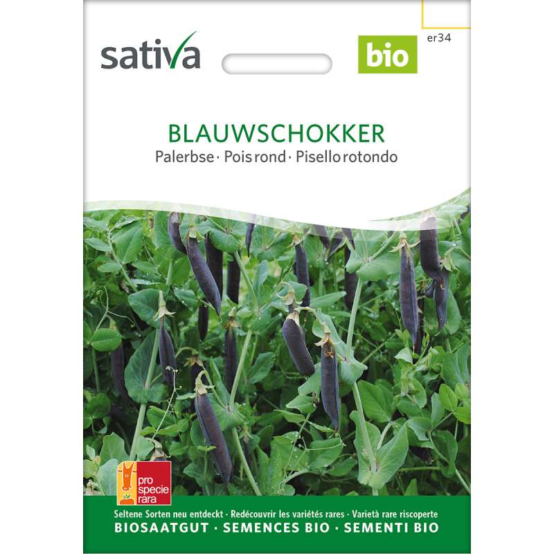 Palerbse Blauschokker - Pisum sativum- BIOSAMEN
