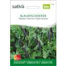 Palerbse Blauschokker - Pisum sativum- BIOSAMEN