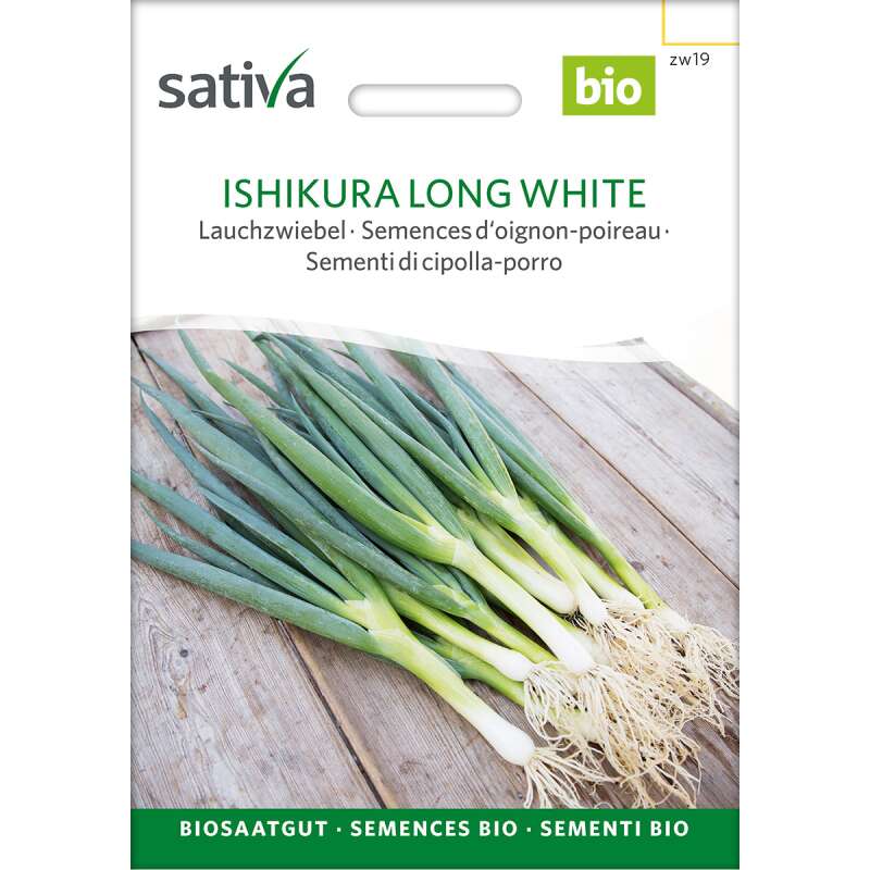 Lauchzwiebel Ishikura long white - Allium fistulosum  - BIOSAMEN
