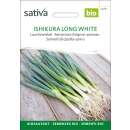 Lauchzwiebel Ishikura long white - Allium fistulosum  - BIOSAMEN